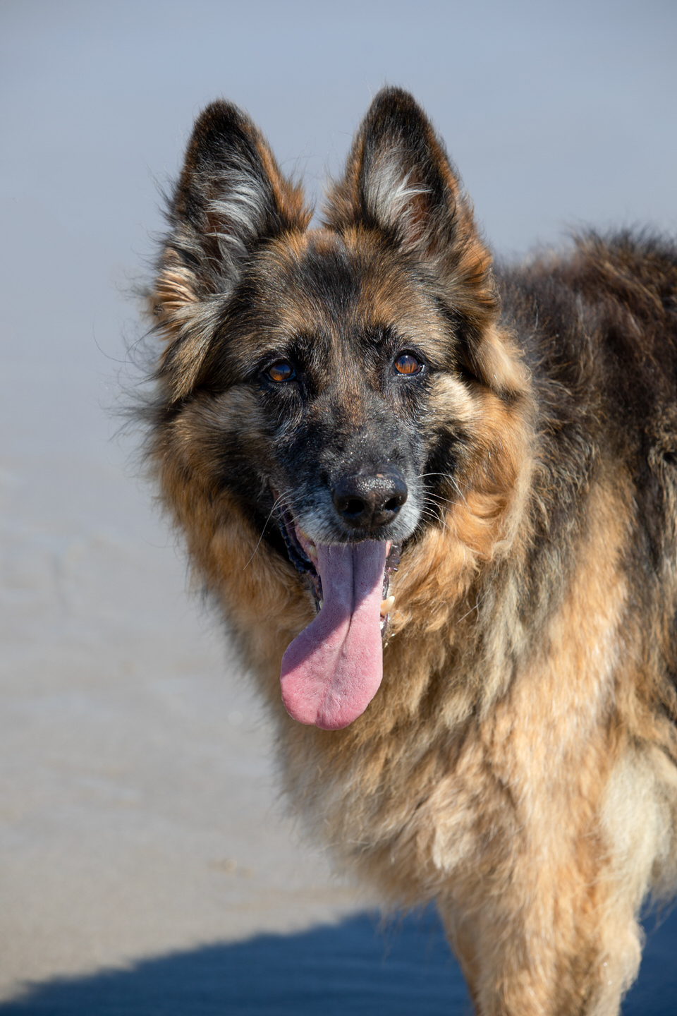 Black Background Photography