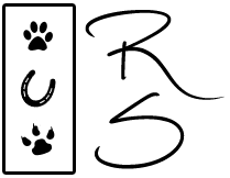 Rachel Stringfellow | Pet Photographer